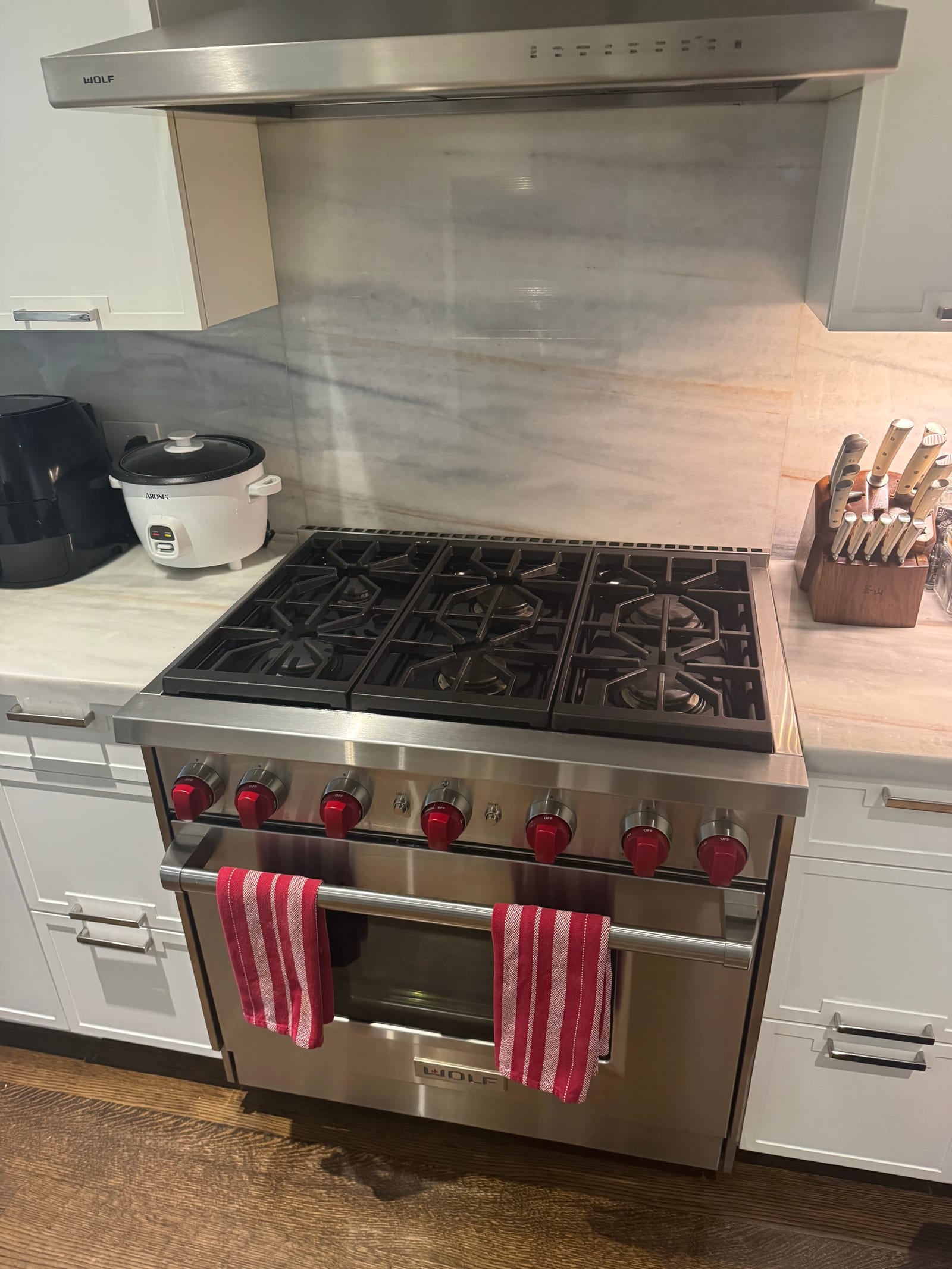 Wolf built-in appliances in premium kitchen